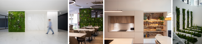 imagens de ambientes design biofílico