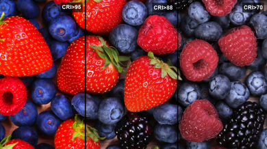 Imagen con frutos rojos representando la importancia de CRI Imagen con frutos rojos representando la importancia de CRI