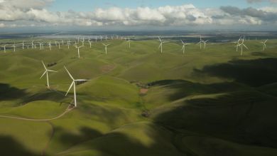 Wide and green zone with wind energy